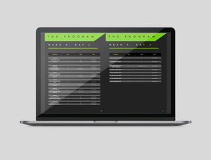 The Speed Program